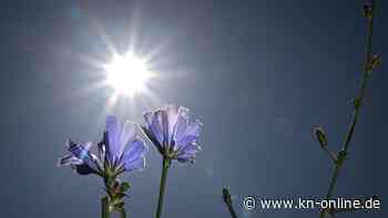Hitze: Sonntag war bislang der heißeste Tag des Jahres 2023