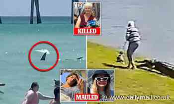 Is nature fighting back? Experts warn shark and gator attacks will increase