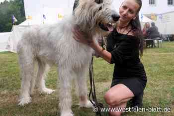 Imposanter Vierbeiner hat Frauchen zum Schmusen gern