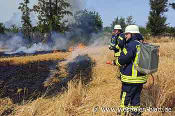 Stemwede: Hitze löst Brand bei Mäharbeiten aus