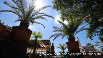 DWD: Sonntag war bislang heißester Tag 2023