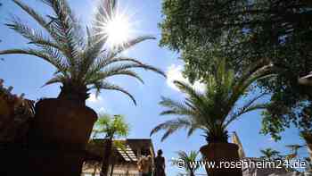 DWD: Sonntag war bislang heißester Tag 2023