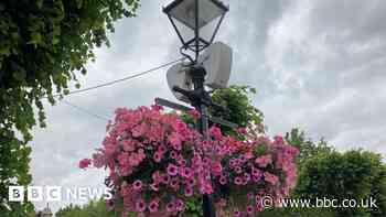Salisbury City Council: Scrapped hanging baskets spark division