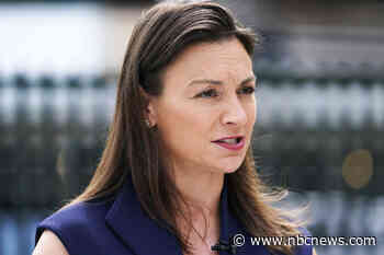 Ron DeSantis' presidential bid is giving life to a struggling Florida Democratic Party