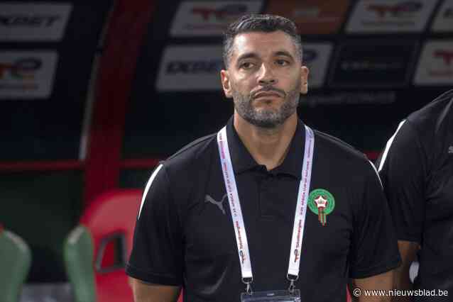 Antwerpse coach Issame Charaï na historische eindzege in Afrika Cup: “Mijn telefoon is ontploft, zelfs de koning van Marokko heeft ons twee keer proberen bellen”