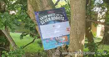 Meet the Read North East 'Book Fairy' encouraging children to pick up a book in Kingston Park