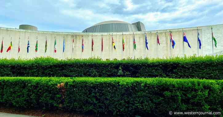 Exposed: UN Set to Launch 'Global Shocks' Plan Just Prior to US Presidential Election