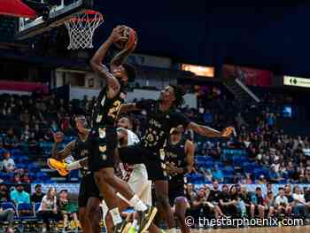 Sports Briefs: Busy week ahead for Saskatchewan Rattlers