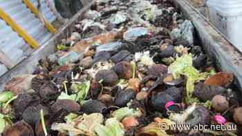 Food waste is costing Australian households up to $3,000 a year