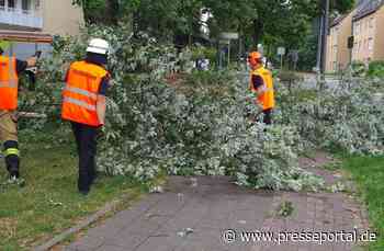 FW-HAAN: Zahlreiche Einsätze nach Durchzug eines Sturmtiefs