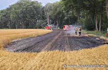 FW-ROW: Brennt Feldrand nahe Drögenbostel