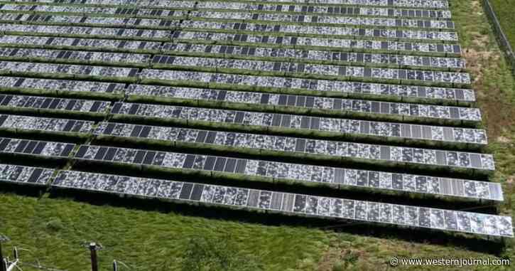 Damaged Solar Panels from Hail Storm Will Likely End Up in Landfill Because Recycling Isn't Possible