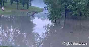 Rescue in Calgary’s Confederation Park prompts concerns about flood mitigation work