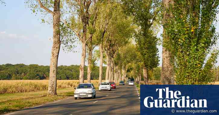 From car insurance to tolls: what Britons need to know before driving to mainland Europe