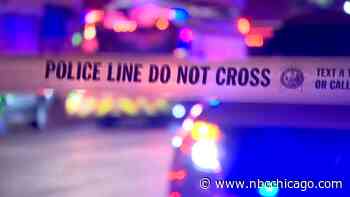 Boy, 9, shot and killed during grandmother's birthday party in Franklin Park