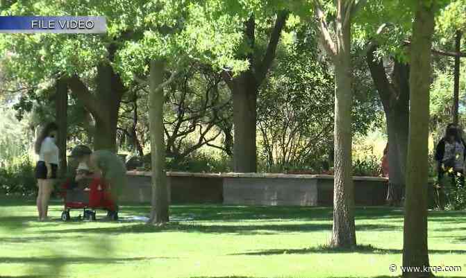 Botanic evening walk teaches about nature during the night