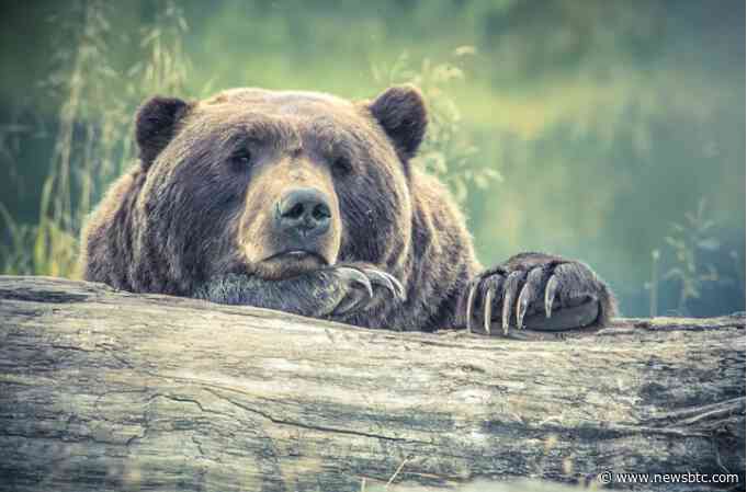 Litecoin (LTC) Price Weakens Below $100 As Bears Extend Their Grip