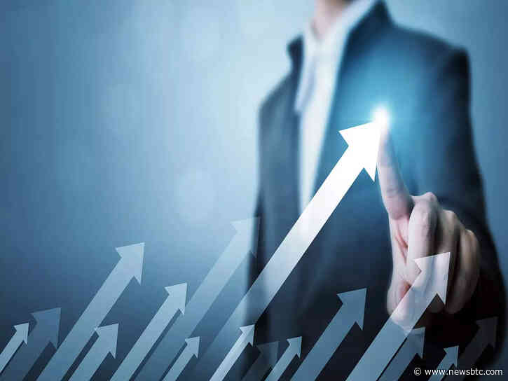 Compound (COMP) Rises By 11% Amidst General Bear Market