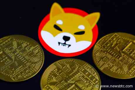 Significant Surge: Large Shiba Inu Token Transactions Capture Spotlight