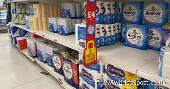 I compared Andrex to supermarket toilet rolls - and the results have left me torn