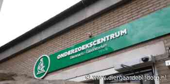 Neem een kijkje in de vernieuwde Dierenkliniek!
