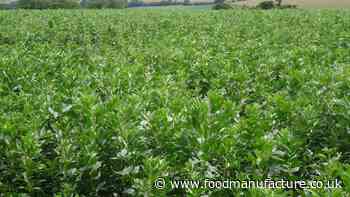 Defra-funded £5.9m research project aims to promote pulse farming usage