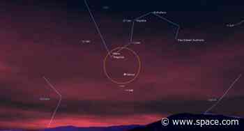 See the Red Planet Mars shine beside the blue star Regulus tonight