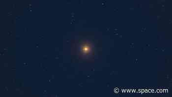 Is the puzzling star Betelgeuse going to explode in our lifetime after all?