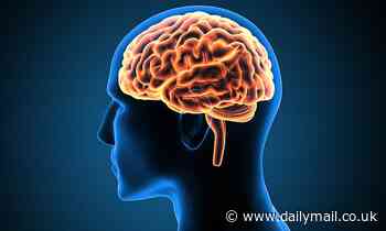 Taking five minute 'brain breaks' can increase productivity in tasks by more than 50 per cent