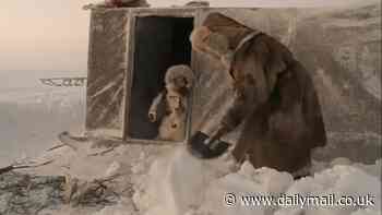 Fascinating video reveals brutal realities of motherhood as an Arctic nomad