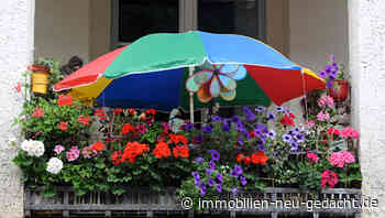 Balkon-Pflanzenpflege im Hochsommer und Urlaub