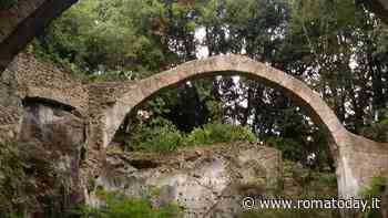 "Nel Bosco più bello del mondo: il Parco Chigi di Ariccia", escursione guidata