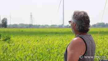 Saving farmland or building more homes? This is one town's struggle to do both