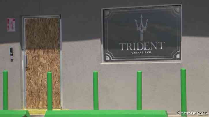 Local cannabis shop hit by thieves, neighbors also hit