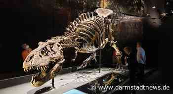 Kindervorlesung: „Wie kommen die Sachen ins Museum?“