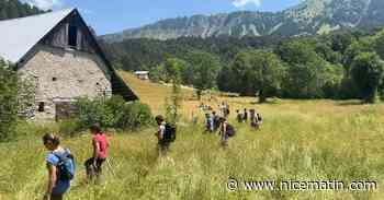 "Plus les heures passent plus c'est inquiétant": une nouvelle battue organisée au Vernet ce lundi pour retrouver le petit garçon
