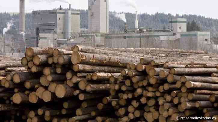 West Fraser Timber selling pulp mill in Hinton, Alta., to Mondi Group