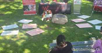 Group wants gender-based violence declared ‘epidemic’ in Hamilton