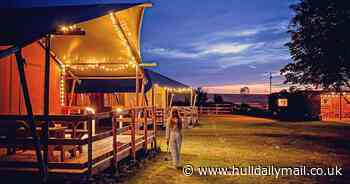 East Yorkshire potato farm that supplies local chippies named one of UK's best glamping sites