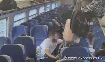 Train 'close to overturning' leaves passengers injured and luggage thrown across carriage