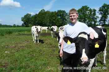 Philipp Dietz aus Delbrück wirbt mit Kühen für die Landwirtschaft