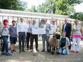 Ergebnis der Ostereiermalaktion: Lions-Club Mülheim/Ruhr spendet für Witthausbusch