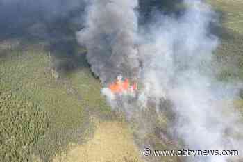 Wildfires spark evacuations in multiple northern B.C. locations