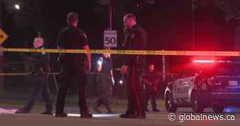 Significant police presence in northeast Edmonton Sunday night