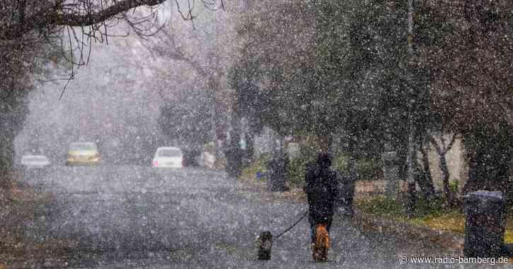 Einwohner von Johannesburg staunen über Schnee