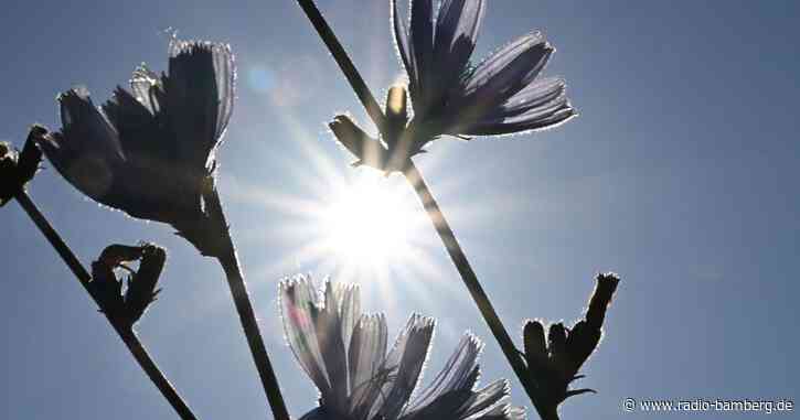 Europa Sommer 2022: Mehr als 60.000 hitzebezogene Todesfälle