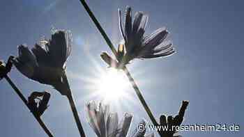 Europa Sommer 2022: Mehr als 60.000 hitzebezogene Todesfälle