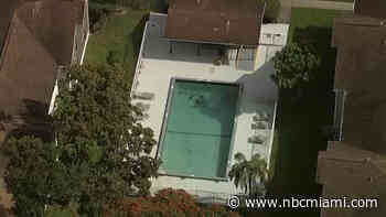 Pembroke Pines man accused of drowning dog in pool during domestic dispute