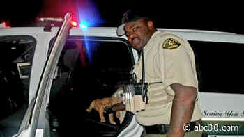 Fresno County deputy rescues puppies on side of the road