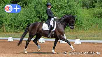 Sommerturnier des ORV Malente Eutin: Johanna Horstmann dominiert